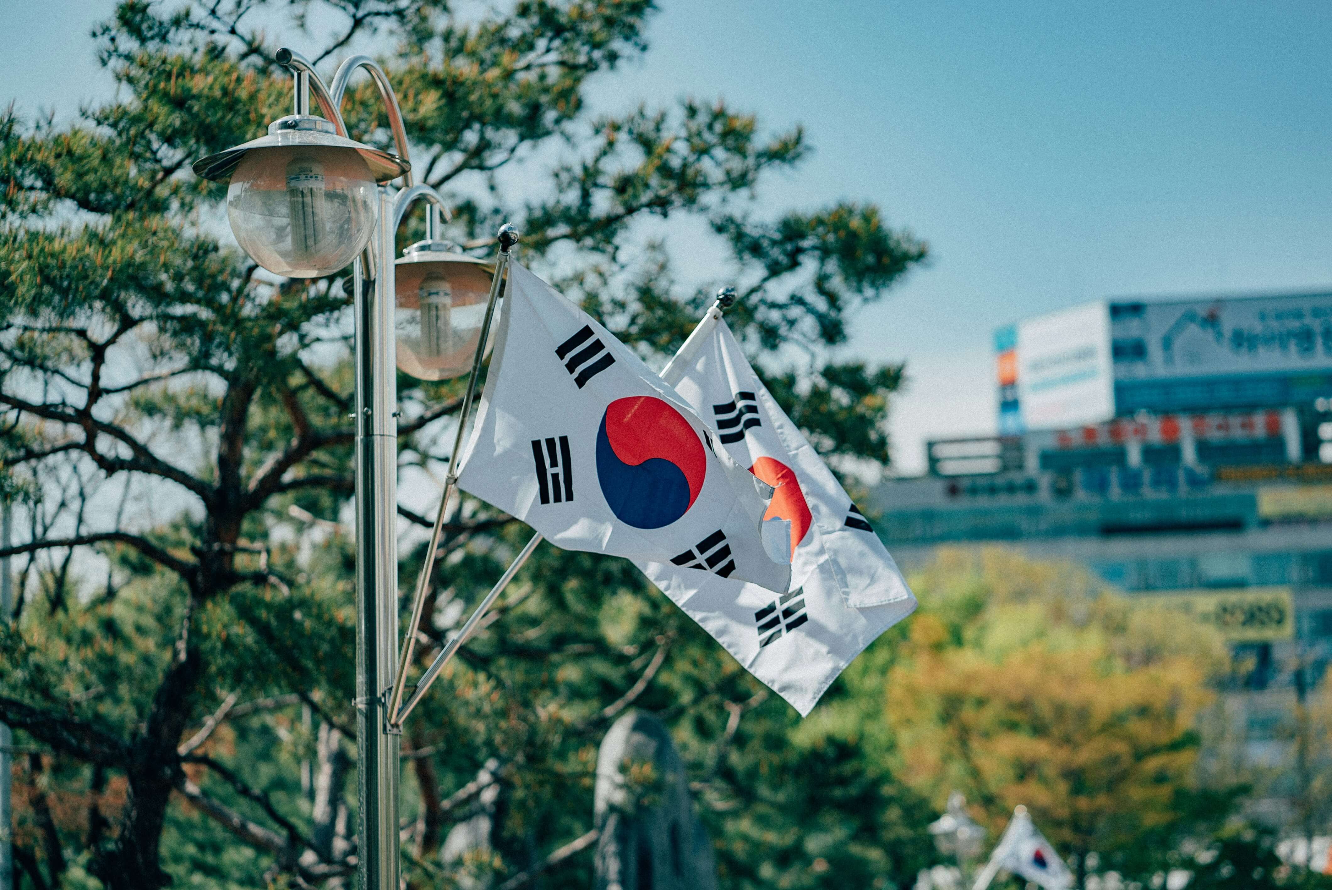 How to Move to South Korea for Free as an International Student